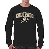 Campus Colors Adult Arch & Logo Soft Style Gameday Crewneck Sweatshirt