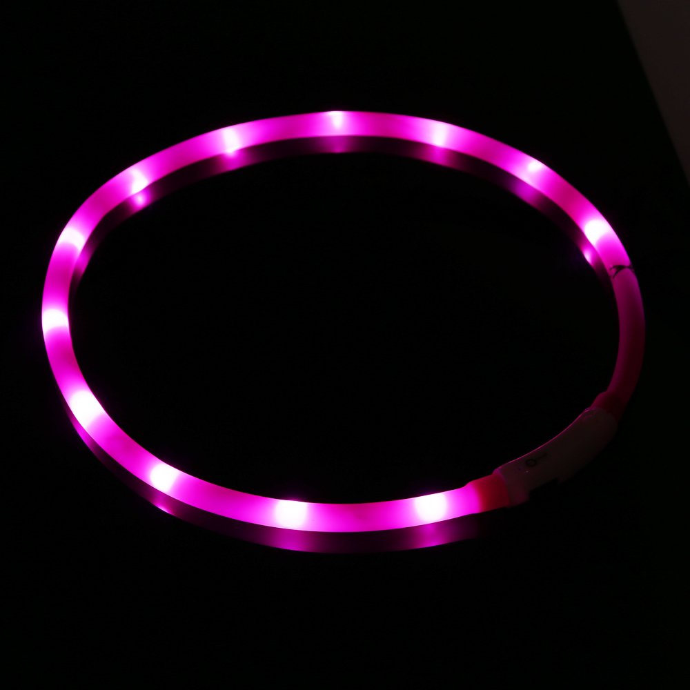 ZOGIN Collar de perro LED, collar de seguridad recargable USB para perro gato y otro animal doméstico, color rosa