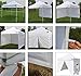 Eurmax 10 x 10 Pop up Canopy Commercial Tent Outdoor Instant Canopies Party Shelter with 4 Zippered Sidewalls and Carry Bag Bonus Canopy Sand Bags(White)