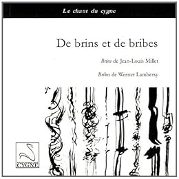 Des  brins & des bribes