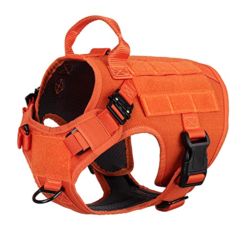 The Best Tactical Dog Harness Dogtime