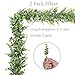 Artiflr Faux Eucalyptus Garland, 2 Pcs Artificial Vines Fake Eucalyptus Greenery Garland Wedding Backdrop Arch Wall Table Party Decor, 6.1 Feet/pcs Fake Hanging Plant Large Eucalyptus Leaves