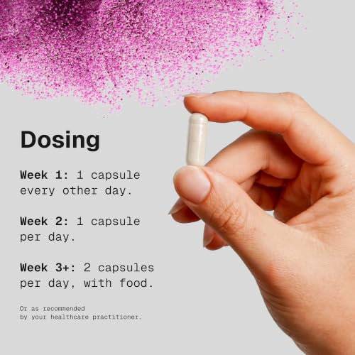 MegaSporeBiotic Probiotico | Microbiome Labs | 60 capsulas | Probioticos a base de esporas