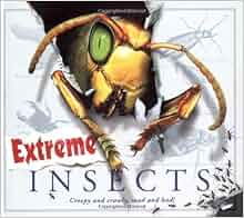 Extreme Insects 9781847322944 Amazon Com Books