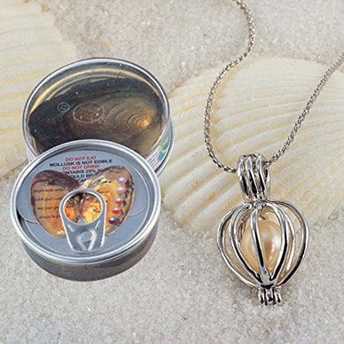 6 Neclace+Pendant+Cultured+Stainless+Turtle