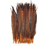 Celine lin 10PCS Natural Pheasant Feathers Pheasant Tails 14-16inch,Orange
