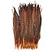 Celine lin 10PCS Natural Pheasant Feathers Pheasant Tails 14-16inch,Orange