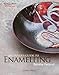 Beginner's Guide to Enamelling (Search Press Classics)