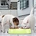 Luase Pet Dog Bowl Food Water Dish Feeder Stainless Steel Feeder Pet Dog Double Bowls(Medium, Green)