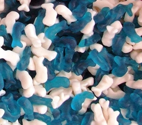 kingsway baby dolphins