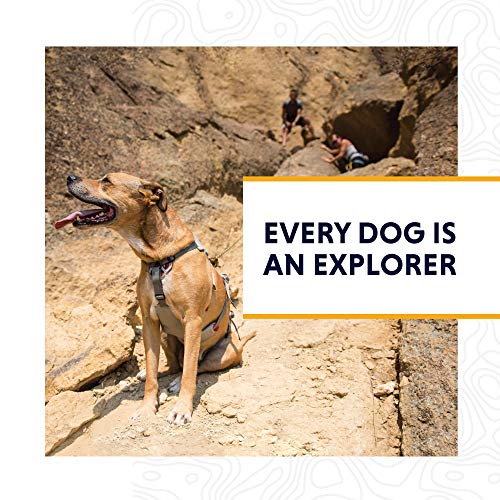 ruffwear doubleback dog harness