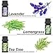 Aromatherapy Essential Oils Set, Iextreme Organic 100% Pure and Natural - Lavender, Tea Tree, Eucalyptus, Lemongrass, Orange, Peppermint - 6 Bottles/0.34oz Each