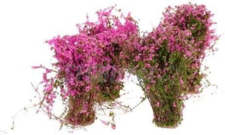 Beautiful 4pcs Scenery Ground Cover Flower Model Fuchsia Dollhouse Art Craft NEW
