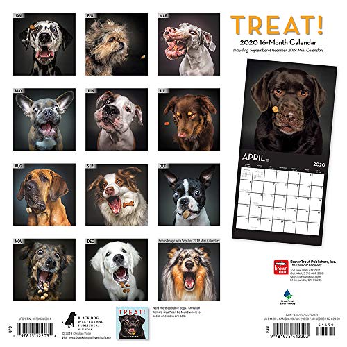 Treat 2020 12 x 12 Inch Monthly Square Wall Calendar by Hachette, Humor Art Photographer Treat Time Animals (English, French and Spanish Edition)