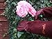 Rose Pruning Gloves for Men and Women - Thorn Proof Goatskin Leather Gardening Gloves with Gauntlet (Medium, Maroon)