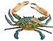 All Seas Imports Awesome Realistic Looking Acrylic Resin 9