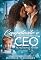 Livro Conquistando o Coração Partido Do CEO - BWWM Romance: Serie: Irmãos D'Aramitz - Livro 01
