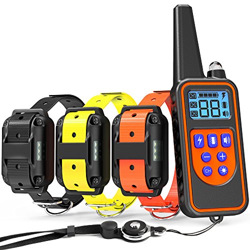 veckle dog training collar