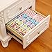 Chris.W Wheat Straw Desk Pencil Organizer - Caddies for Office/Teacher/School Supplies/Markers/Gel Pens/Paint Brushes Storage Holder Racks - 4 Colors 16 Compartment