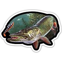 Muskie Fish Vinyl Decal Sticker – High Quality Car Window Decal For Fishing Fans