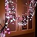 Quntis Cluster Christmas String Lights Pink &White, 400 LED 8 Twinkle Modes 13FT Globe Fairy Lights for Xmas Tree Bedroom Indoor Outdoor Valentine Wedding Holiday (Plug in, Connectable, Waterproof)