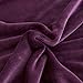 Qbedding Inc. Luxury Collection Microplush Flannel Fleece Blanket | Ultra Soft 380 GSM Lightweight All-Season Anti-Static Throw/Blanket for Sofa Couch Bed (Queen (78-Inch-by-90-Inch), Purple)