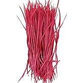 5''-9.5'' Feathers Fly Tying Materials for stonefly Nymph Split Tails&amp; Down Wings 50pcs/Pack (red)