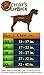 Chai's Choice Best Outdoor Adventure Dog Harness (Small, Green)