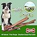 BPS GigaBite - USDA & FDA Certified Odor-Free Value Pack Plain Beef Bully Sticks for Dogs - 100% All Natural Free Range Beef Pizzle- Healthy Dental Teeth Cleaning Dog Chews- Best Chewy Pet Treats (1 Pound Bag, 12-Inch)