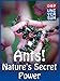 Ants! - Nature's Secret Power