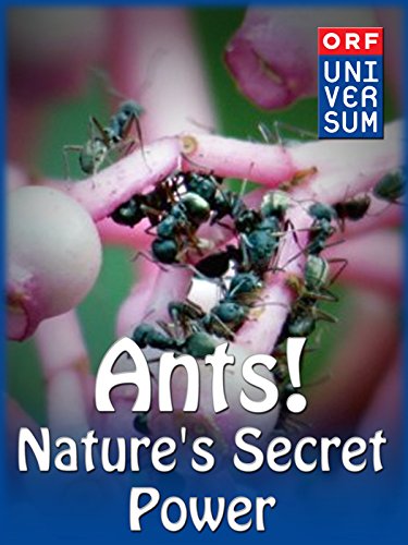 Ants! - Nature's Secret Power
