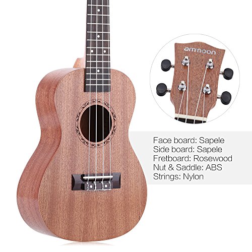 Top 10 Best String Instruments For Adults Best of 2018 Reviews No