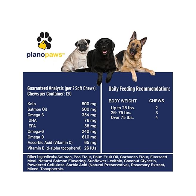 plano paws salmon chews