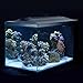 Fluval 10531A1 SEA EVO XII Aquarium Kit, 13.5 galthumb 2