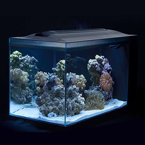 Fluval SEA EVO XII Aquarium - Image 3