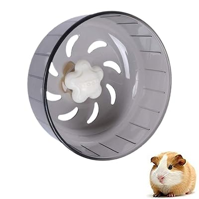 Amazon Non Squeaky Hamster Wheel Hamster Wheel Exotic Nutrition