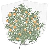 Agfabric Plant Cover Insect Barrier,Insect Netting (H72 xW72)