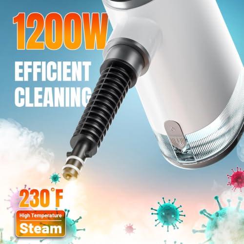 Hand Steam Cleaner, Steam Cleaner, 650 ml Water Tank Steam Cleaner and 11-Piece Accessory Set for Removing Dirt and Grease