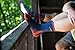Darn Tough 1466 Men's Merino Wool Micro Crew Hiker Sock With Cushion - Light Gray, Large
