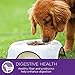 Wellness Wellbites Soft Natural Dog Treats, Chicken & Lamb, 8-Ounce Bag