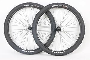 MOTOBECANE 29 Inch WTB St i25 Shim Micro Spline Disc Hubs Thru Axle Boost Wheel Set 148mm x 110mm Rekon 29 x 2.40WT Tire and Tube Package