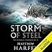 Storm of Steel: The Bernicia Chronicles, Book 6 by 