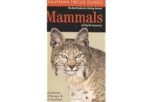 Kaufman Focus Guide to Mammals of North America