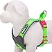 Blueberry Pet 4 Colors Soft & Comfy Summer Hope 3M Reflective Padded Dog Harness Vest, Chest Girth 18.5