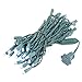 Novelty Lights 25ft 50 LED Pure White Christmas Lights Outdoor/Indoor, 6