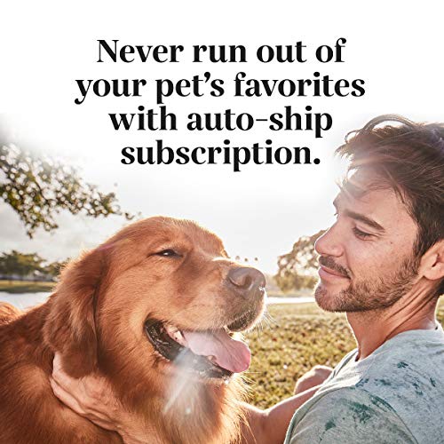 EverRoot Dog Brain Supplement by Purina, Brain Health Chewable Tablets