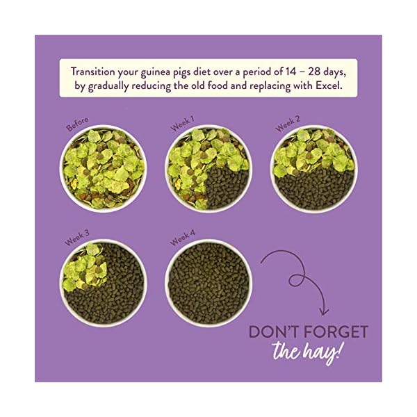 Excel-Burgess-Guinea-Pig-Nuggets-Blackcurrant-and-Oregano-2-kg Excel Burgess Guinea Pig Nuggets Blackcurrant and Oregano, 2 kg