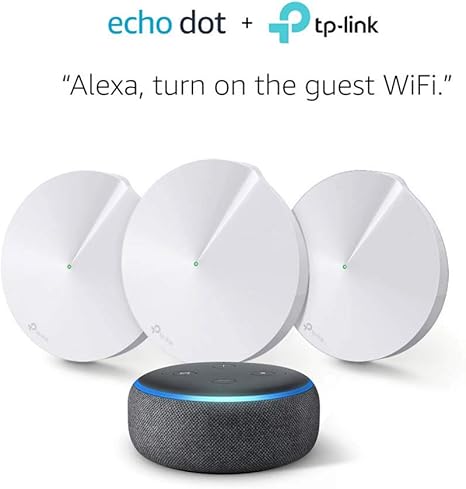 does the echo dot need wifi