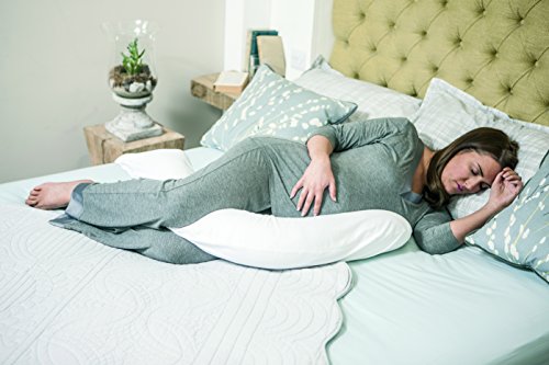 Dreamgenii Pregnancy Support And Feeding Pillow Buy Online In