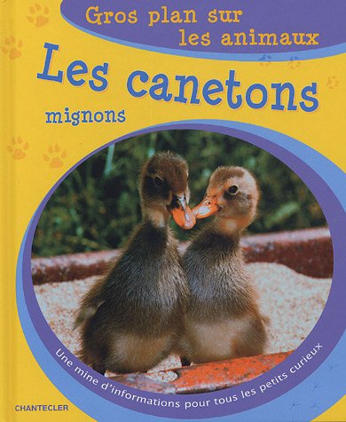 Les  canetons mignons